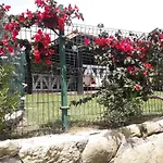 Anjanas 여관 *